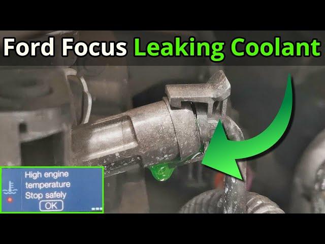 Ford Focus Major Coolant Leak - Found & Fixed