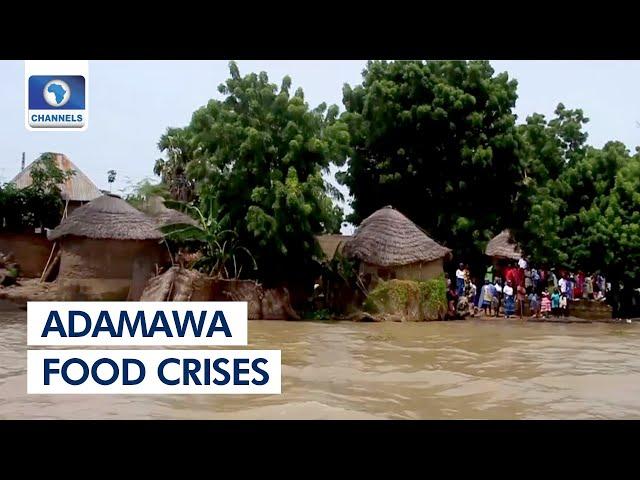 Adamawa Food Crises: Farmers Affected By Flooding Appeal For Support