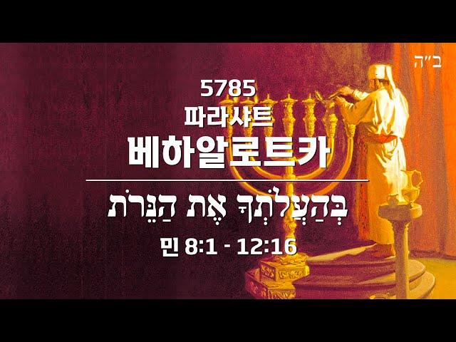 [5785 파라샤트 강해] 파라샤트 베하알로트카(Beha’alotcha): 네가 불을 타오르게 할 때
