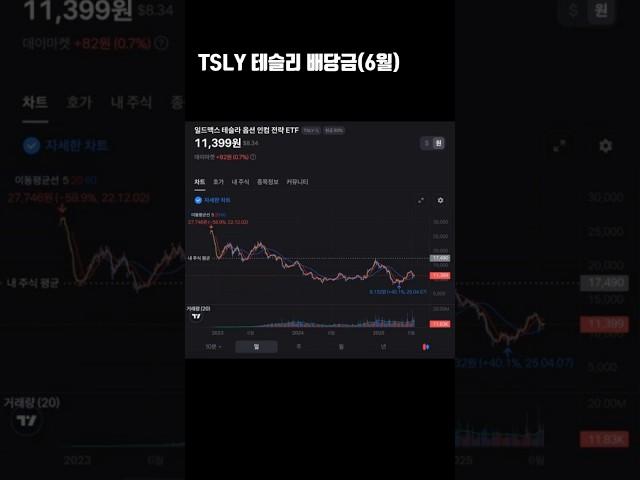 TSLY 테슬리 배당금(6월)