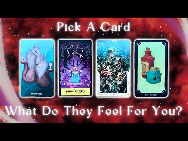 How They’re Currently Feeling About You Pick a Card Timeless In-Depth Love Tarot Reading