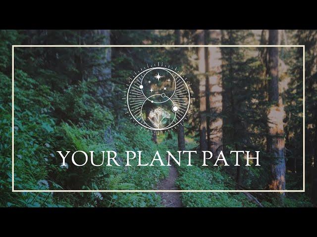 Your Plant Path
