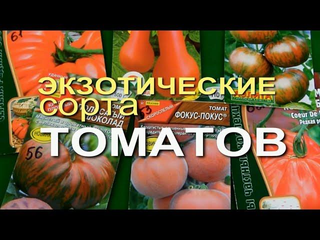 ТОМАТЫ. ЭКЗОТИЧЕСКИЕ СОРТА! СОВЕТЫ от ЗЕЛЕНОГО ОГОРОДА!