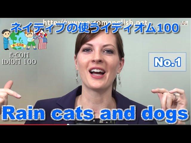 【ECOM英語レッスン】 ネイティブがよく使うイディオム1/100: Rain cats and dogs
