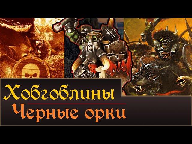 Хобгоблины и Черные Орки | Личности, История. Что мы возможно увидим в Total War Warhammer 3