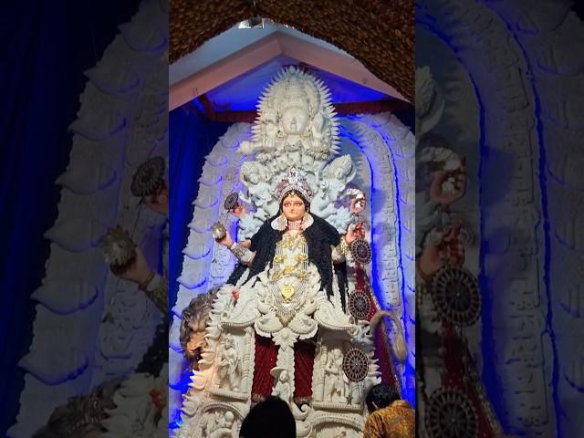 Top Jagaddhatri in Chandannagar. #shorts #viralvideo #jagaddhatri #chandannagar #pujo #subscribe 