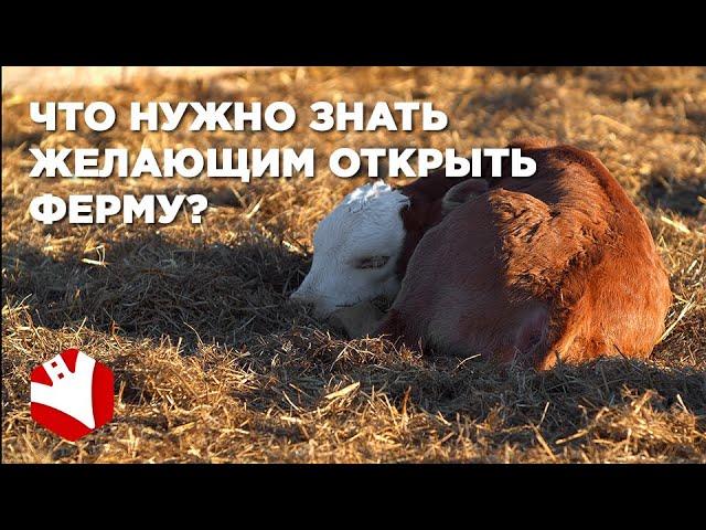 Ферма с нуля | Что нужно знать желающим открыть ферму | Как стать фермером