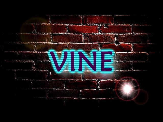 vine ru/лучшие вайны 2017 /