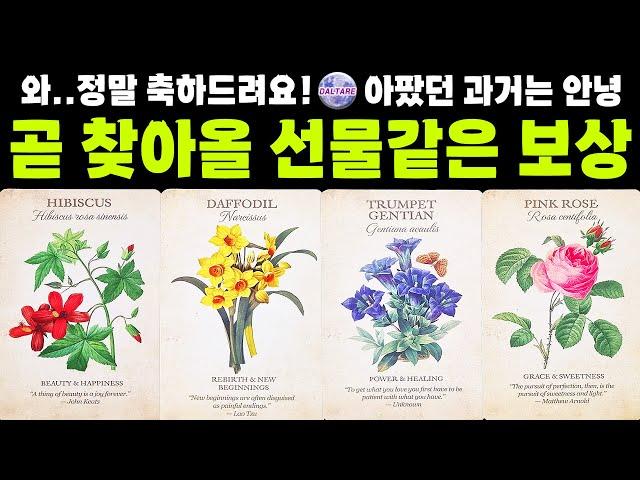 [타로] 정말 축하드려요‼️️아팠던 과거는 안녕  곧 찾아올 선물 같은 보상 