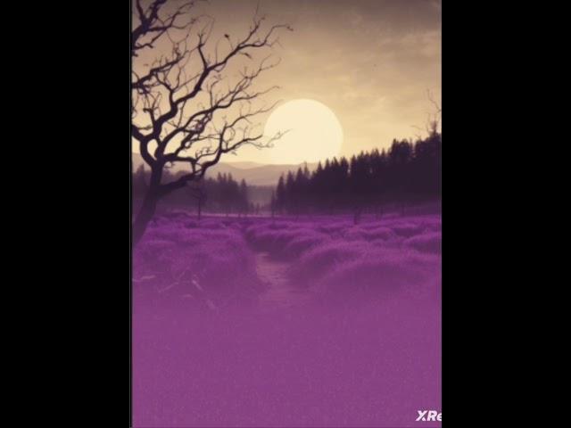 Left right 80 phonk song by the vaah studio (Gritav S Reddy)