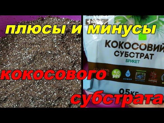 ОСТОРОЖНО!! КОКОСОВЫЙ СУБСТРАТ. КАК ПРАВИЛЬНО ПОДГОТОВИТЬ КОКОСОВЫЙ СУБСТРАТ