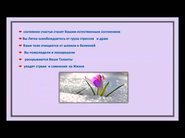 Отрытая Встреча Елена Аксенова