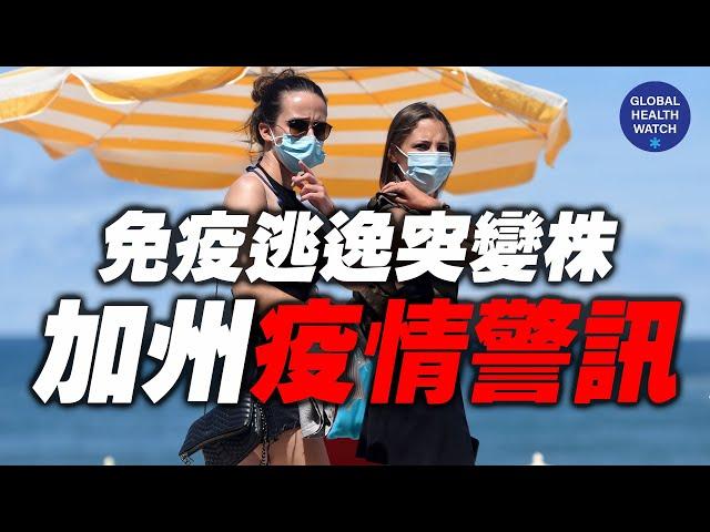 加州疫情： 免疫逃逸突变株（I452R）已经快速传播 | 全球观察 | 林晓旭博士