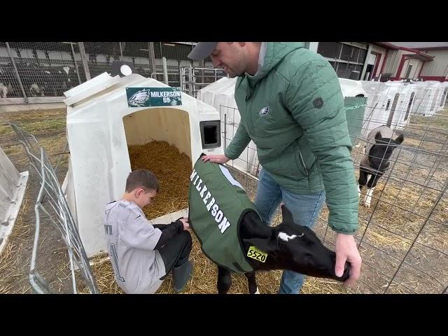 Dairy farm family names newborn calves after Philadelphia Eagles players