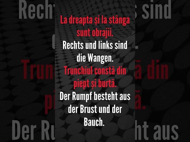 Germana Scurtă 22 #germană #polyglot #vocabular #cursonline