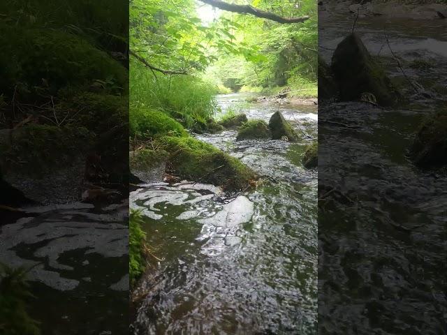 Turn. TheDriftingSpore. #novascotia #water #swirls #flowing #seeingthings #hearingthings #beherenow
