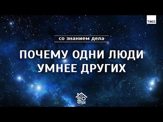 Почему одни люди умнее других