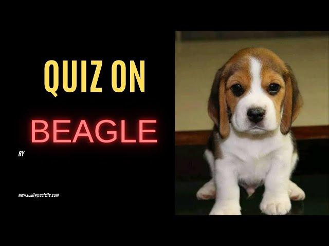 Quiz on Beagle