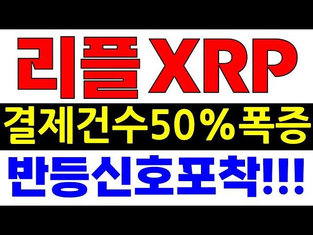 리플 XRP 엑스알피 네트워크활동 50% 급증 = 온체인활동 증가 = 반등신호! #엑스알피 #리플코인 #리플전망 #리플매수가 #리플목표가 #리플코인전망