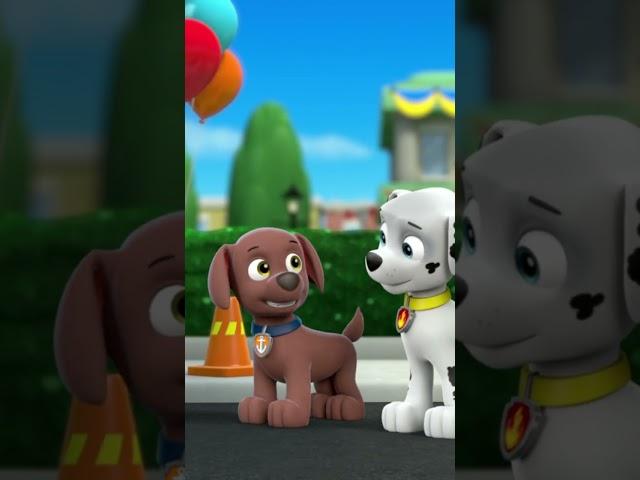My name is Zuma after all - Paw patrol