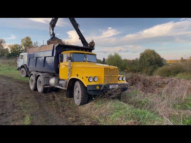 Рабочий день вывоз водорослей ￼