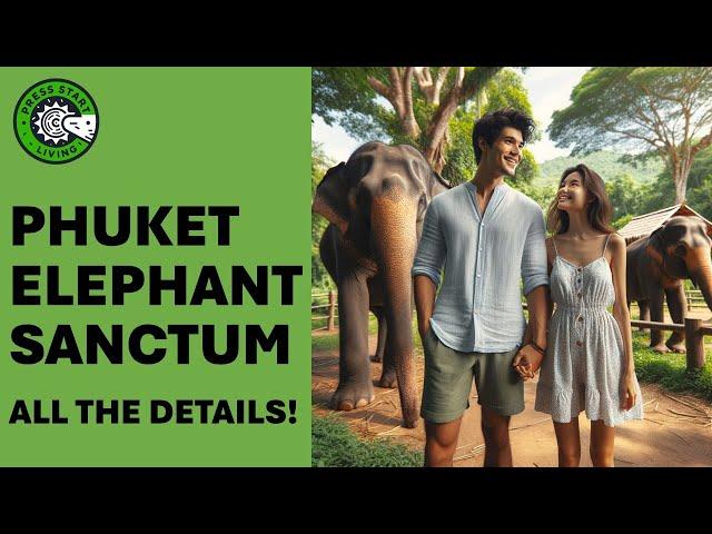 Green Elephant Sanctuary Park in Phuket! (The Scoop!)