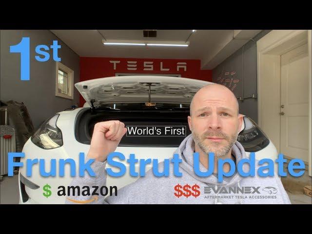 Model 3 Auto Frunk Struts Update - 5 Months later