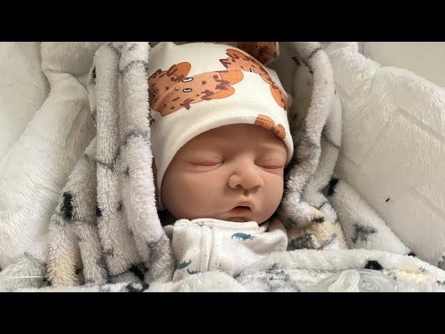 Milo’s Morning Routine|Reborns World