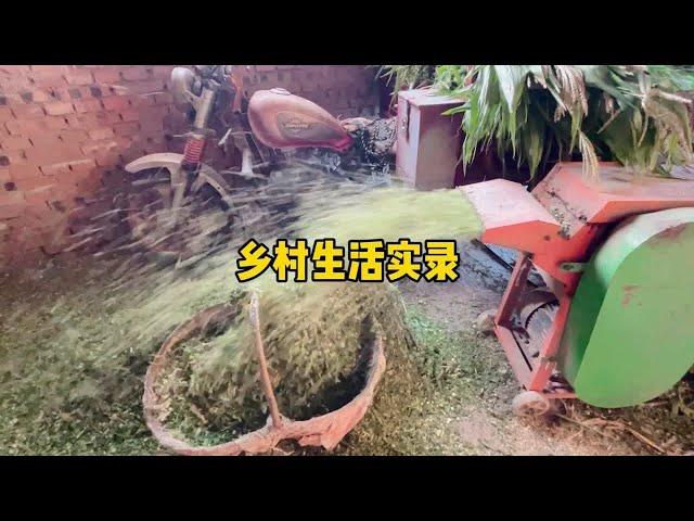 北漂小姐姐的乡村生活实录