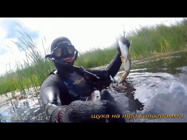 Подводная охота.(Spearfishing 22. 06. 2017)