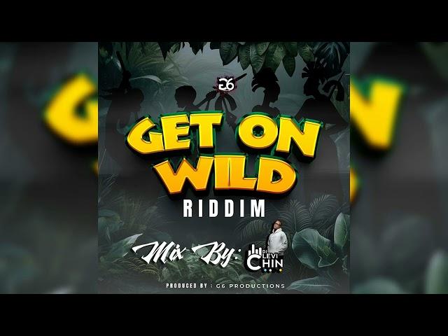 GET ON WILD RIDDIM MIXED BY DJ LEVI CHIN