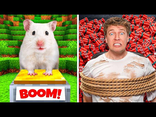 I Built Minecraft For A Real Hamster! 