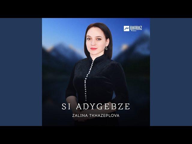 Si adygebze