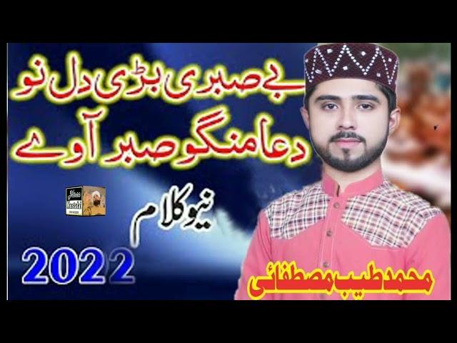 Hai Be Sabri Bari Dil Nu Dua Mahgigo || Muhammad Tayyab Mustafai Most Emotional New Naat 2022