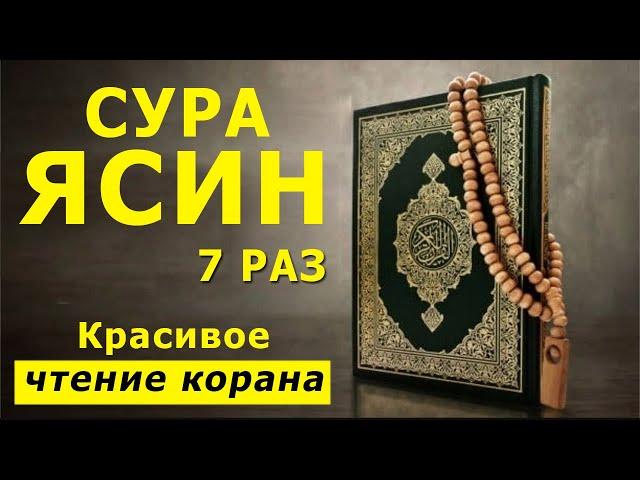 Сура Ясин 7 раз, очень красивое и спокойное чтение корана