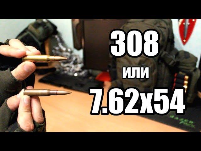 308 или 7.62х54. Какой патрон лучше?