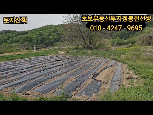 농막짓기 좋은땅#(전망좋은  정남향의 밭에  농막을 지어볼까요^^)##