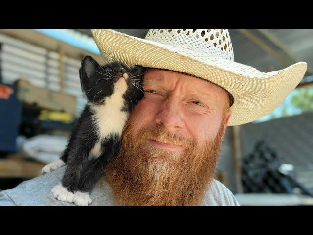 Farm Cats on my High Desert Homestead