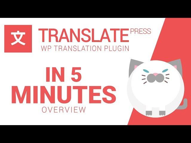 TranslatePress OVERVIEW in 5 Minutes | Making WordPress Multilingual Sites Easy & Fun