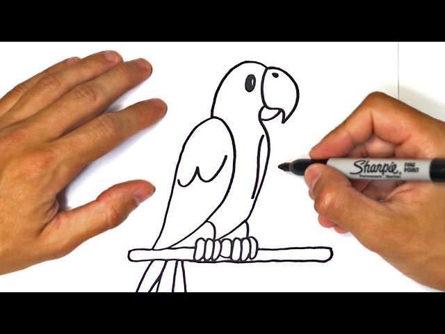 How to draw a Parrot for kids | Parrot Easy Draw Tutorial