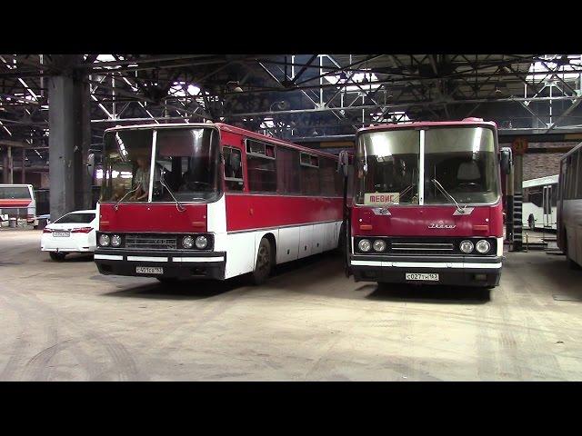 Обзор междугороднего автобуса Ikarus 250.59 люкс Тольятти