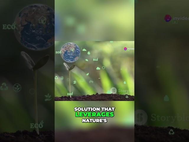 Harness Microbes  Transforming Our Planet Through Bioremediation #biotechnology #science