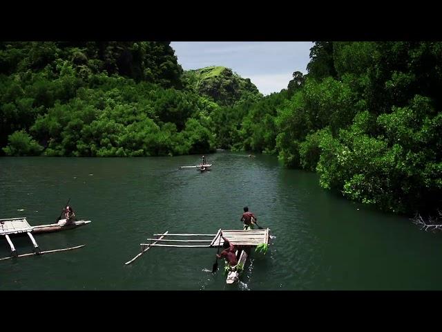 Keanekaragaman Hayati di Tambrauw Papua Barat