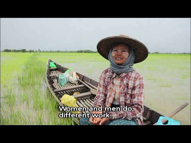 [World Theme Travel] Myanmar, a 2,090km Odyssey Along the Irrawaddy Part 1.Bogale, a Land of Plenty