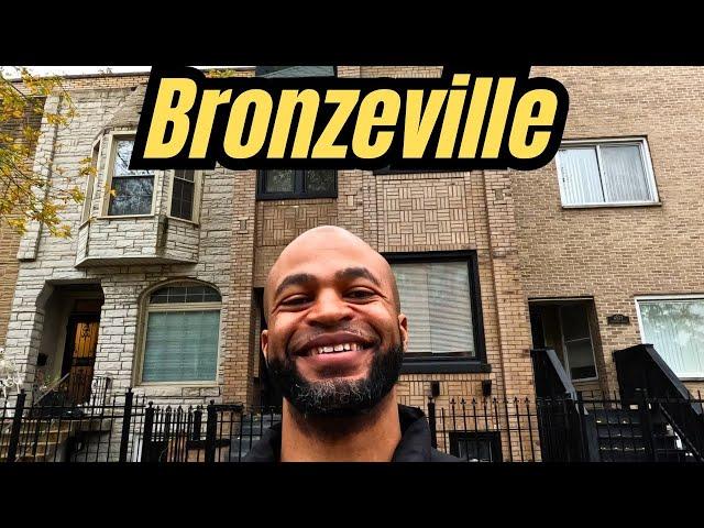 Homes For Sale in Chicago: Bronzeville New Renovation???