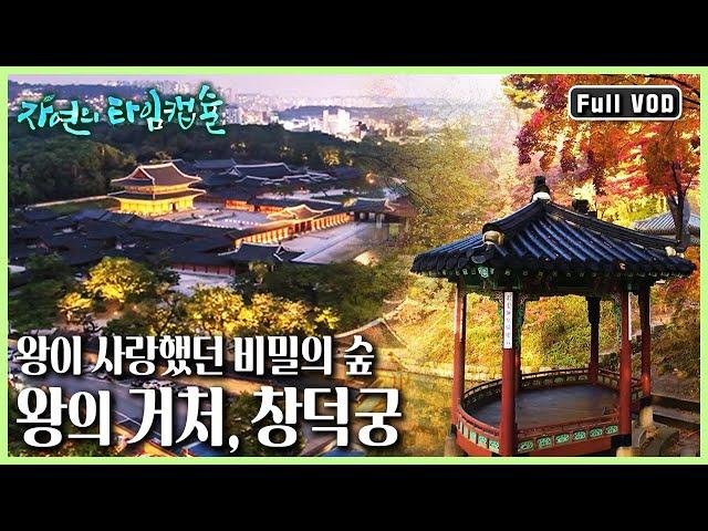 [아시아 TV어워즈 자연사부문 최우수상] 조선왕조 600년을 지켜본 창덕궁의 사계절 비경과 그곳에 사는 생명들 | 왕의 거처, 창덕궁(KBS 20170216 방송)