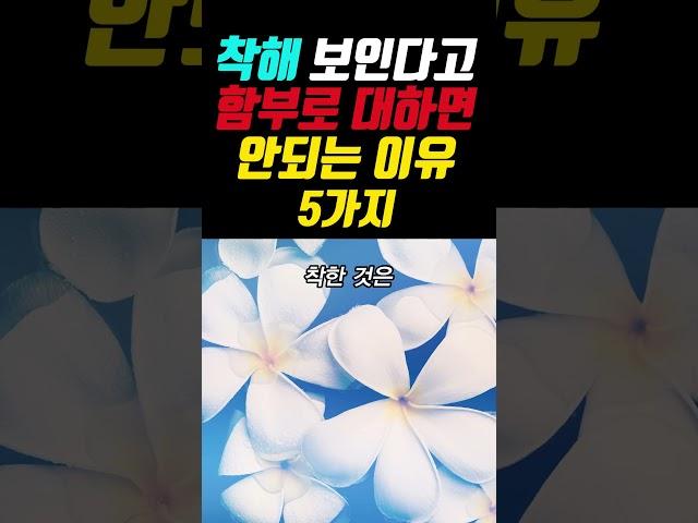 착해 보인다고 함부로 대하면 안되는 이유 5가지 #명언 #좋은글 #지혜 #오디오북 #인생명언 #shorts