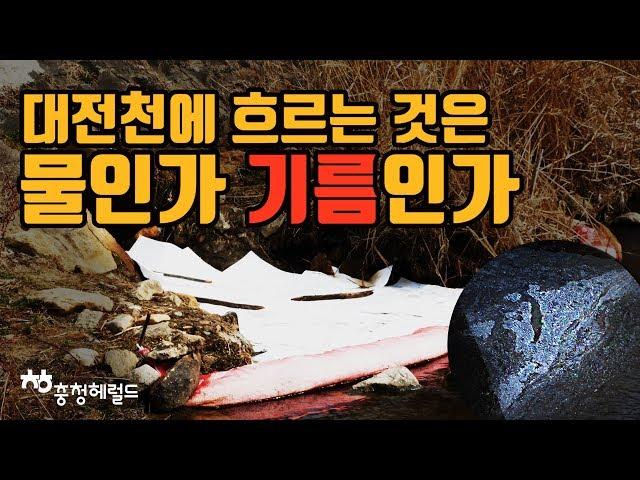 대전천에 흐르는 것은 물인가? 기름인가? / 헤럴드+이슈