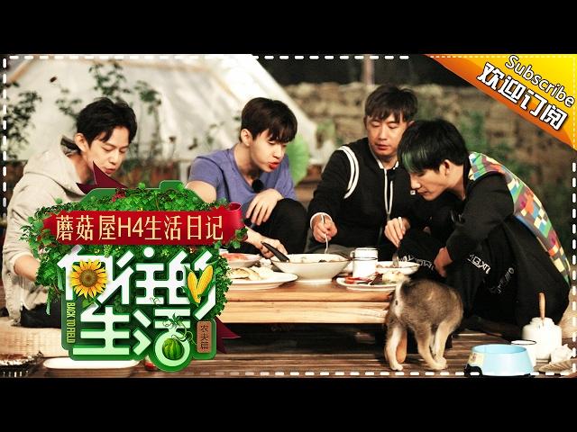 《向往的生活》蘑菇屋H4生活日记第5期20170114: 黄磊厨艺征服何炅Henry【湖南卫视官方频道】