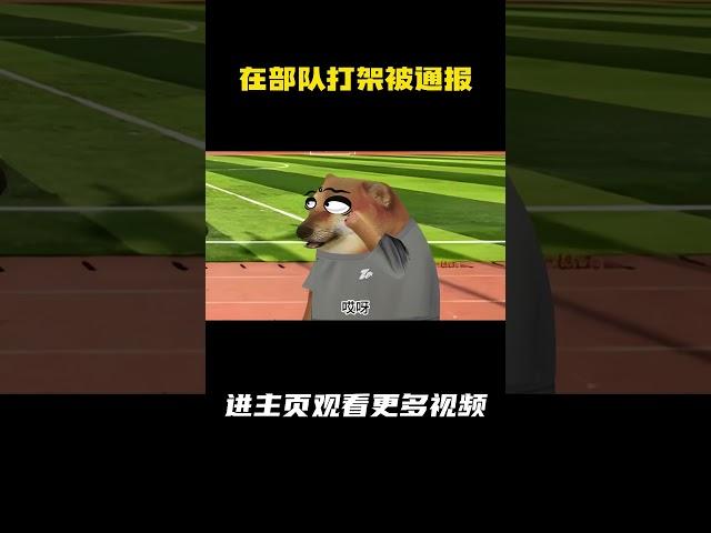 在部队打架被通报 #军旅 #打架